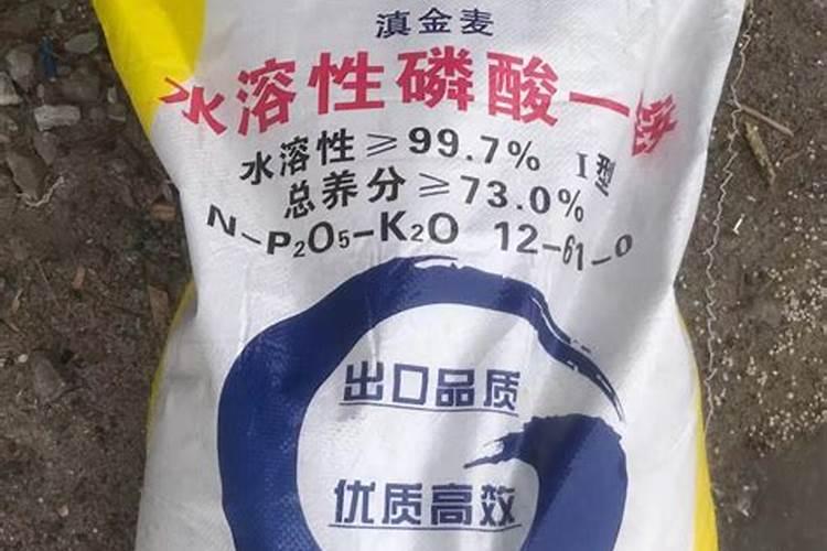 盐碱地水稻怎样施用磷钾肥？