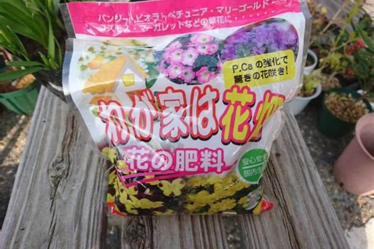水仙种植方法水培