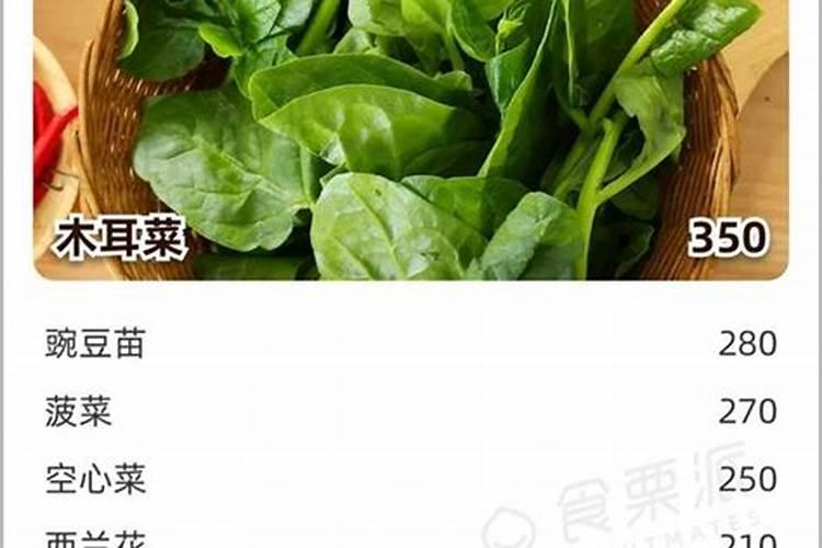 阳台适合种植哪些蔬菜