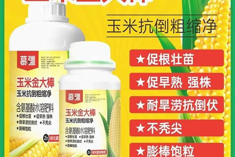 日本海棠叶子干枯发焉,四个方法让叶片恢复鲜绿