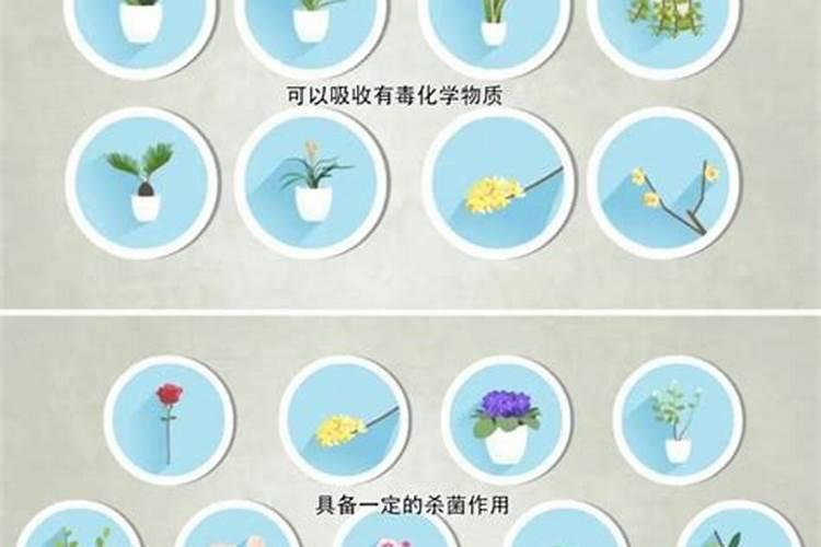 肥料腐值酸是什么意思