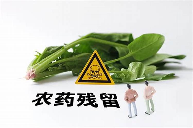 秋葵浇水要注意什么