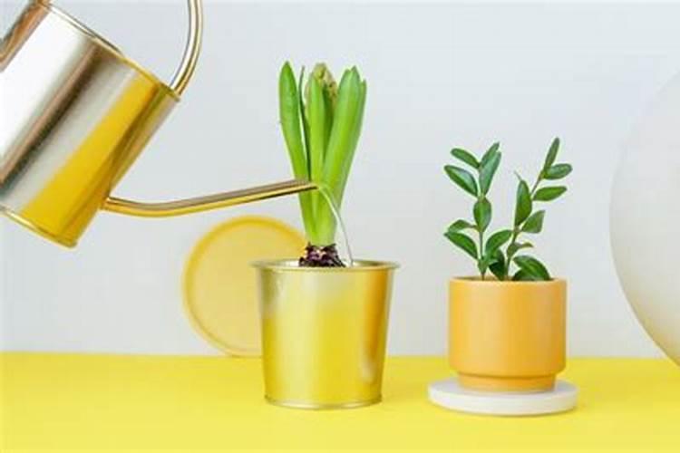 施肥选择在下雨前还是下雨后 施肥时间