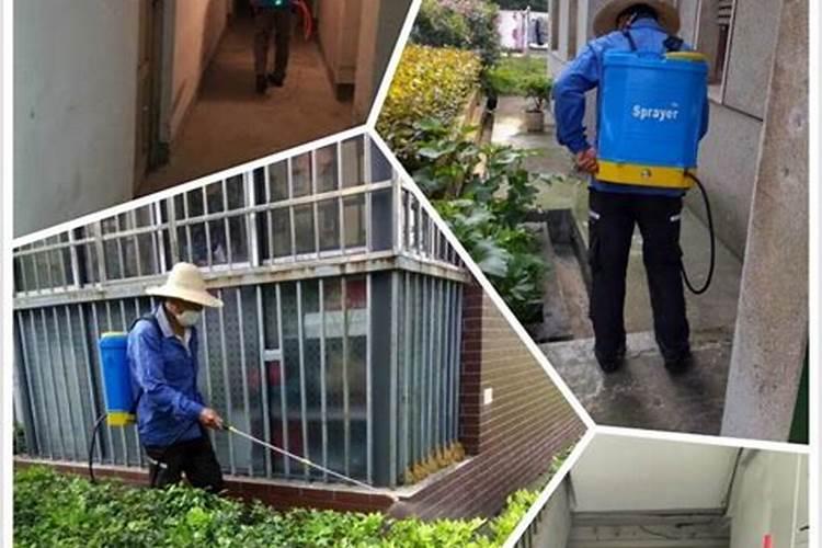 微量元素肥料有哪些 微量元素肥料有什么作用