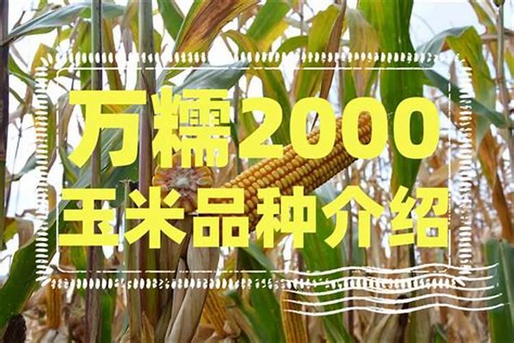 黄腐酸钾加尿素加茶麸水一起冲施可以吗？