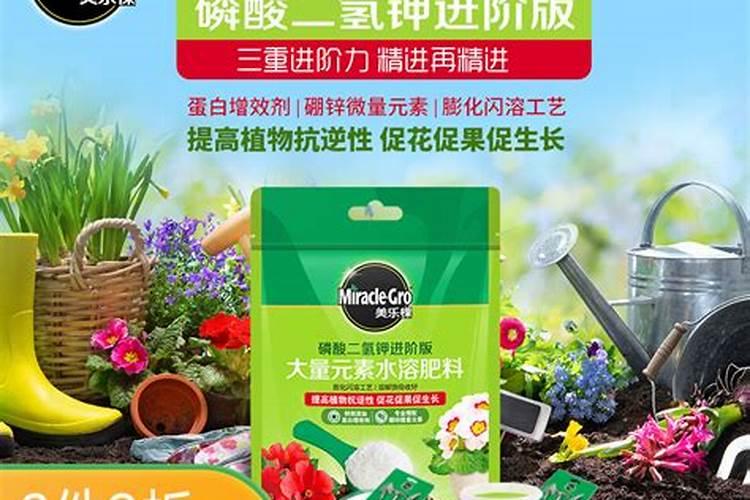 种大葱用什么肥料好
