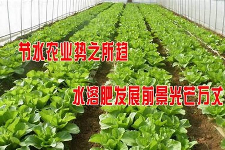 水溶性肥料市场研究报告