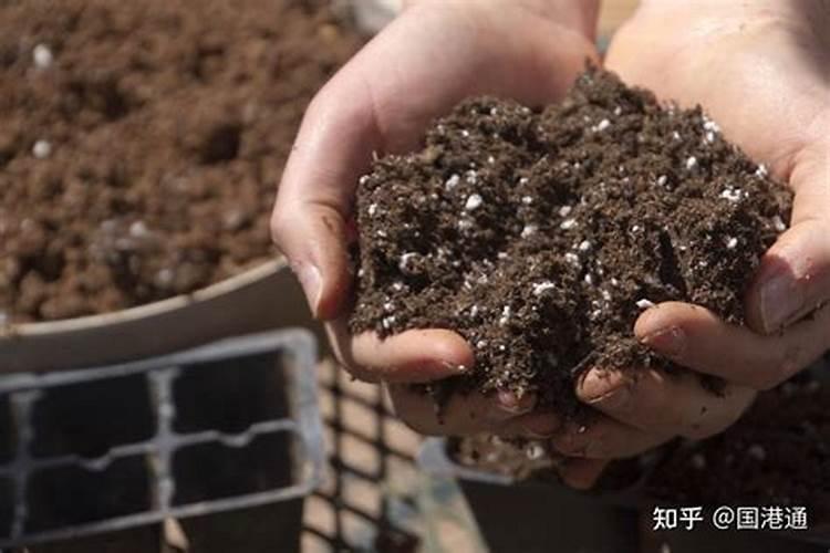 大豆底肥一亩地用多少斤