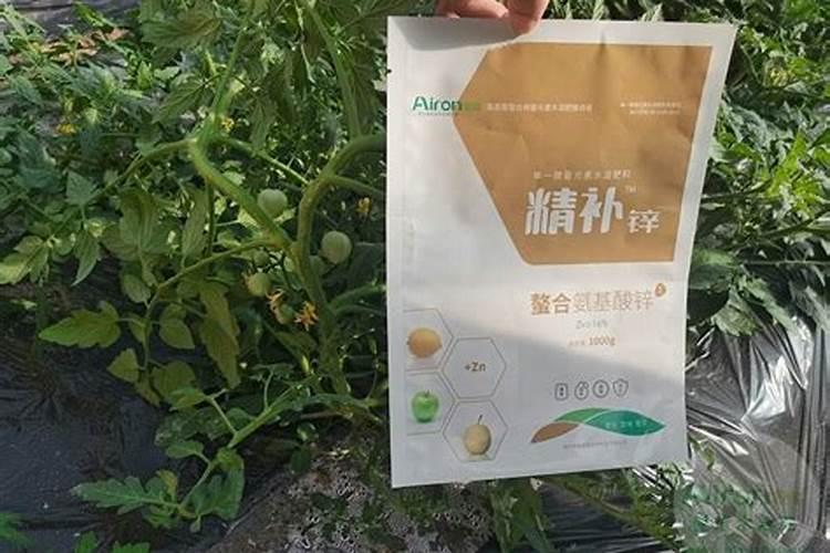 硼肥的施用方法有哪些？