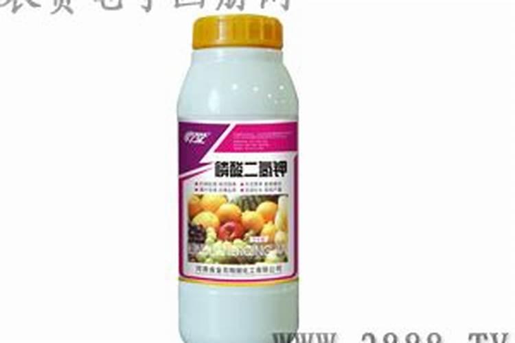 园林植物常见问题十五问