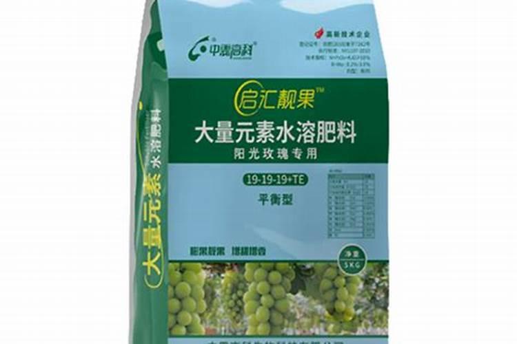 阳光玫瑰葡萄枝条扁能行成花芽吗？
