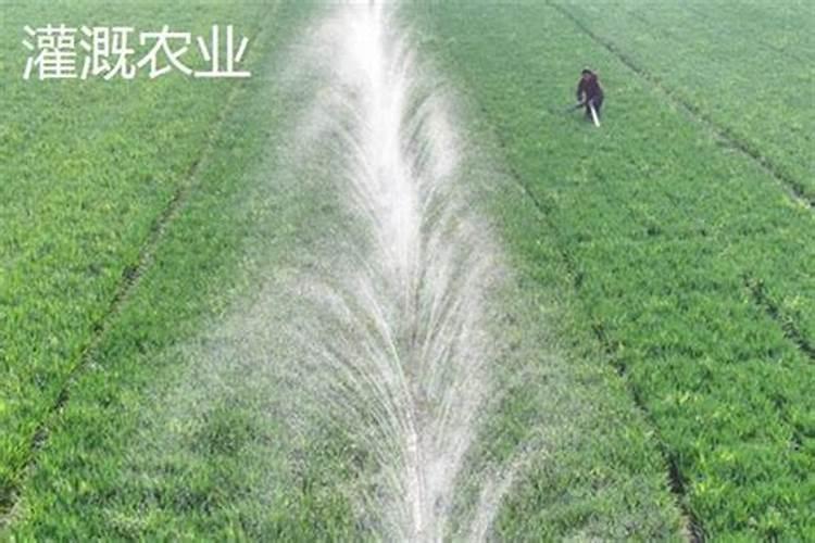 高档水溶肥使用注意事项有哪些