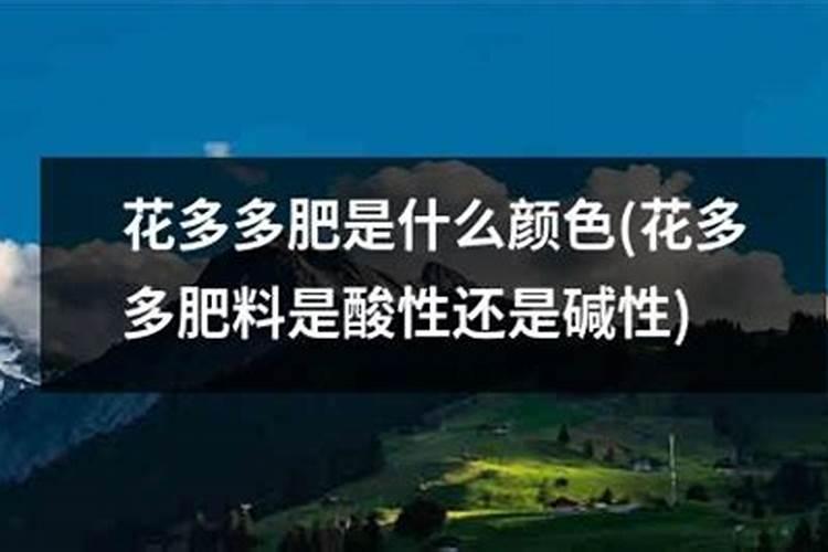三角梅正在开花不能浇水吗
