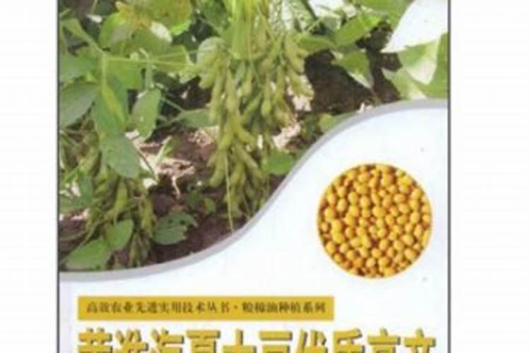 有机肥作夏大豆底肥的好处是什么？