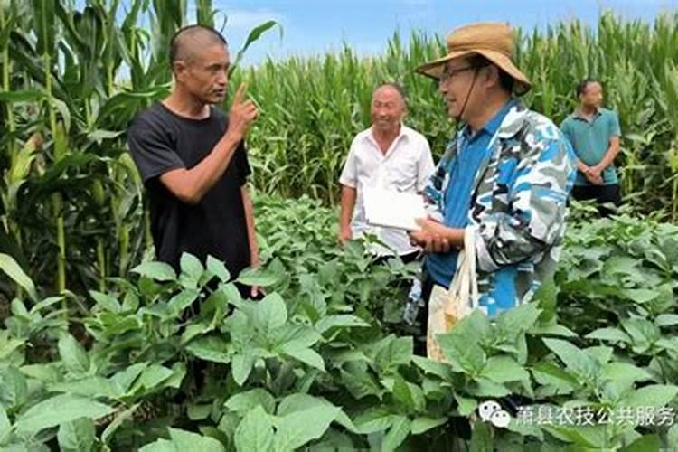 夏天可以补钙吗？