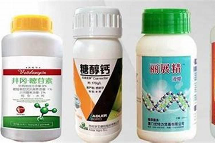 苹果套袋后打什么药