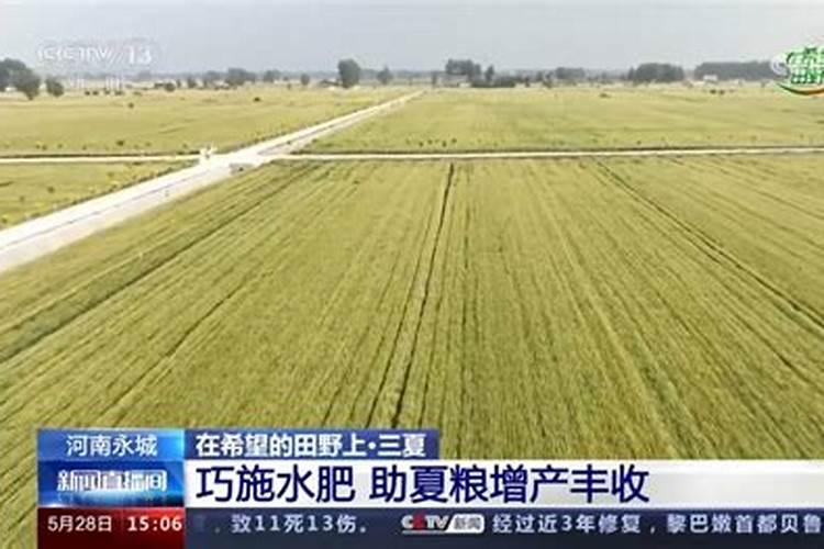 种植辣椒想要增加开花座果率,该如何使用水肥？