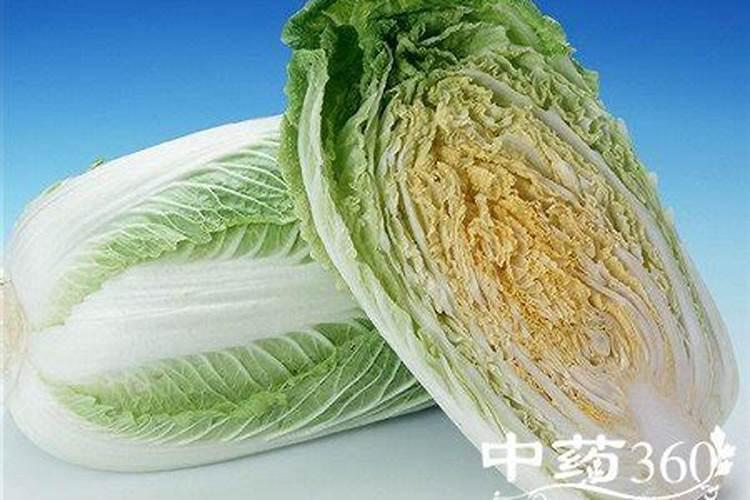 白菜多大时候喷钙镁硼肥好？