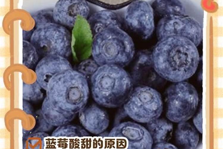 陆地花菜几月份种植