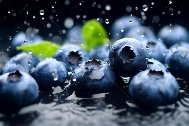 蓝莓用什么肥料最合适怎样给蓝莓施肥