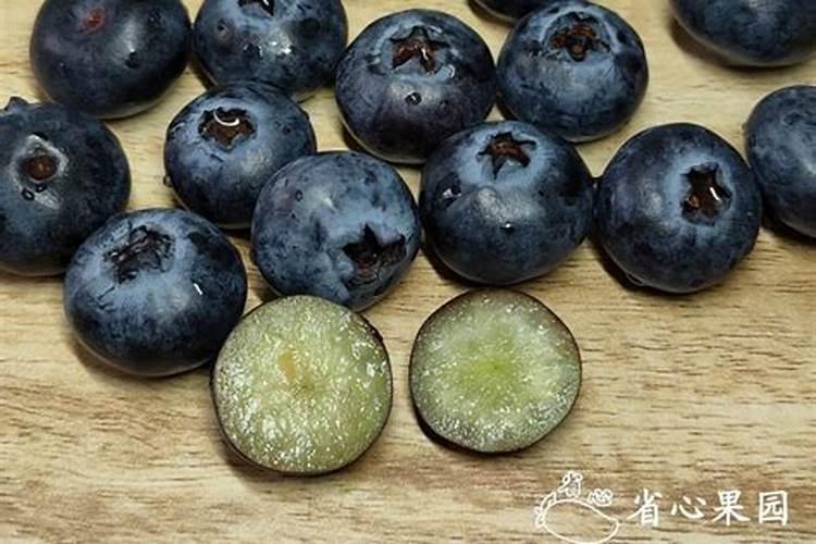 蓝莓施肥用什么肥料最好,种蓝莓用肥正确长得快