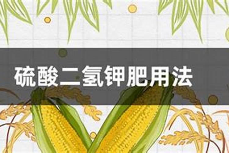 魔芋出苗后施什么肥
