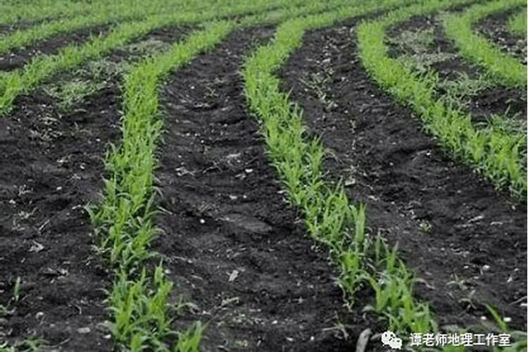 土壤增肥的7个方法