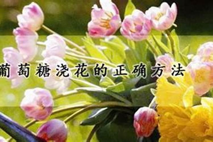 黄桃打葡萄糖和二硫酸钾起什么作用？