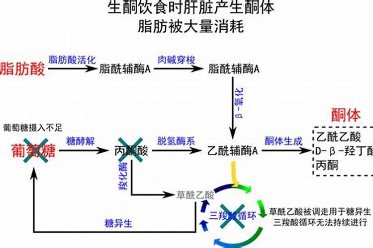 如何加快水溶肥的溶解