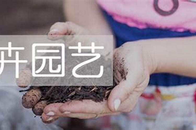 农村榨油不用钱,剩下的菜籽渣和花生渣会拿来干什么？