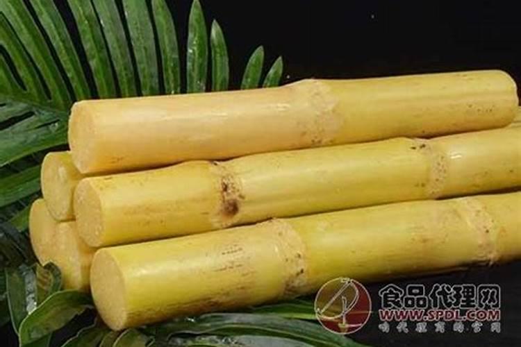怎样使果树根系发达？