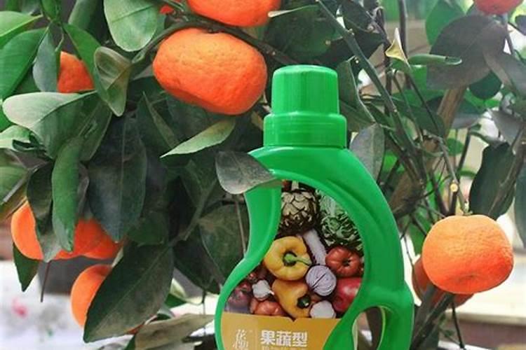 买花肥选什么牌子靠谱