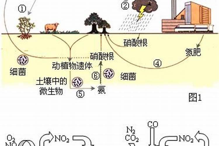 化肥尿素含氮多少