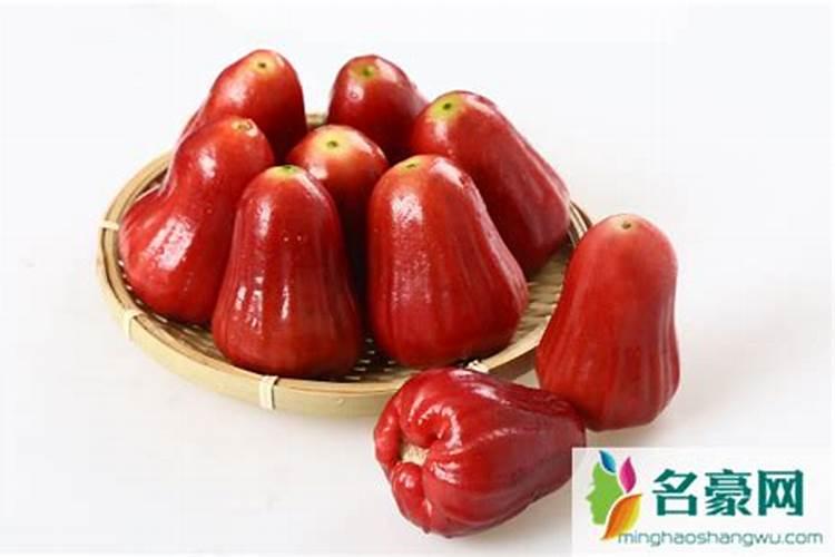桂花施肥用什么肥料