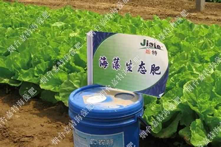 桂花树施肥用什么肥料好 施什么肥长得最快