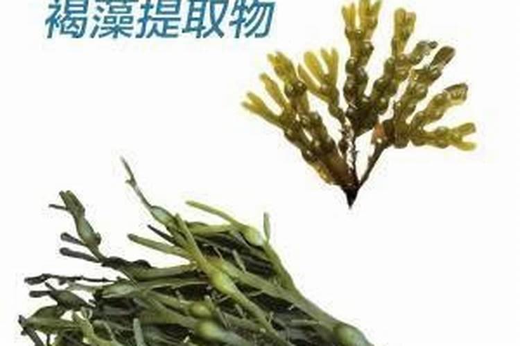 大连大樱桃座果药配方是什么？