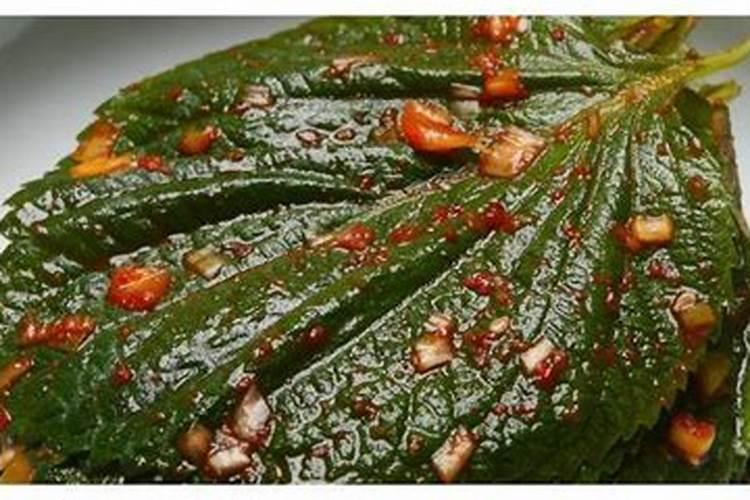 苏菜特色菜炖家野怎么做？