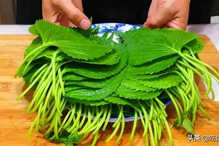 苏菜特色菜将军过桥怎么做？