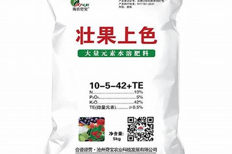 灯笼花蔫了怎么补救