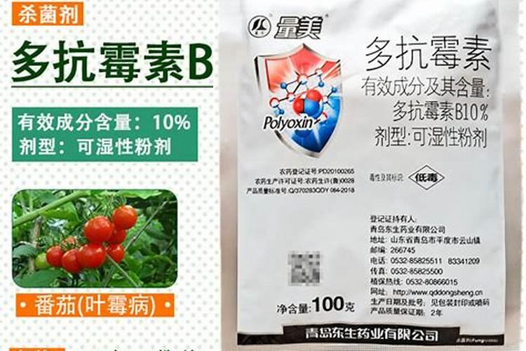 如何防止番茄植株早衰？怎样延长番茄结果期？