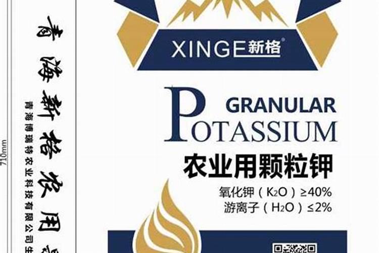 葡萄着色期施什么肥 管理要点有哪些