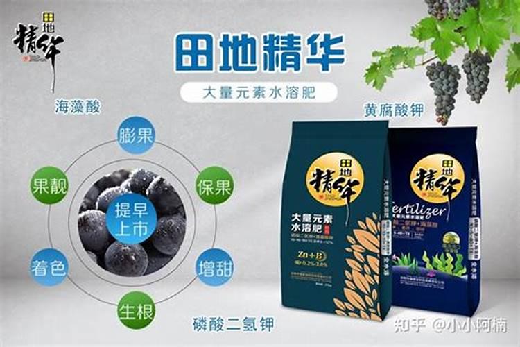 叶子发黄用什么肥料？