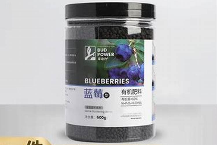 蓝莓苗的培育方法 蓝莓应该怎么种植