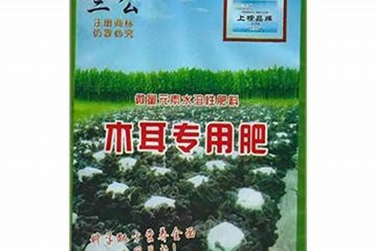 鲜蘑菇包饺子要出水吗