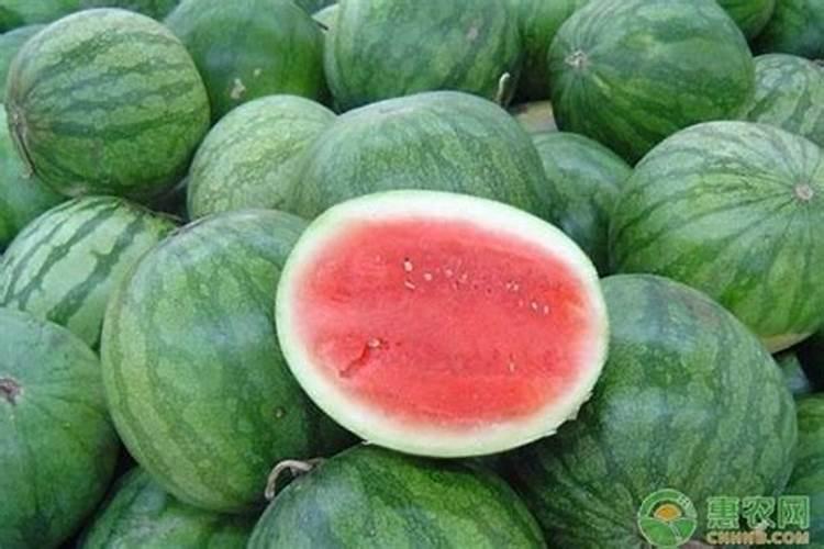 腐殖酸是什么东西