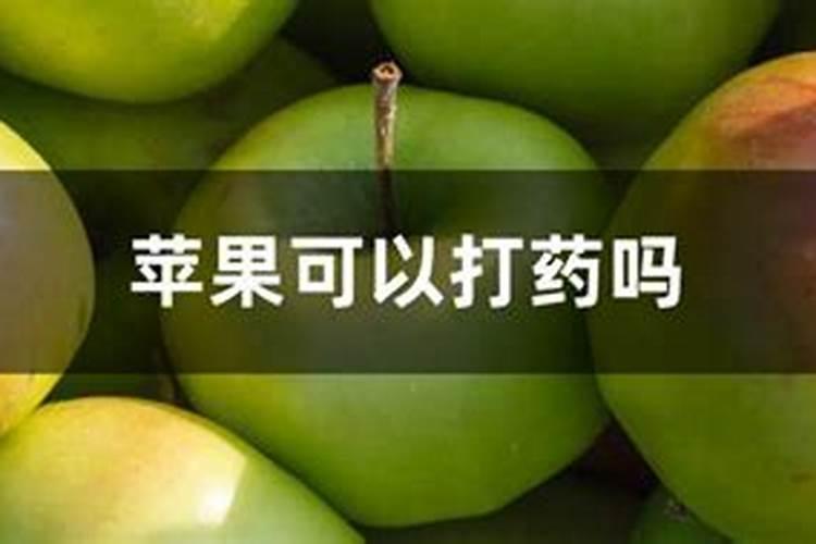苹果树打药时间