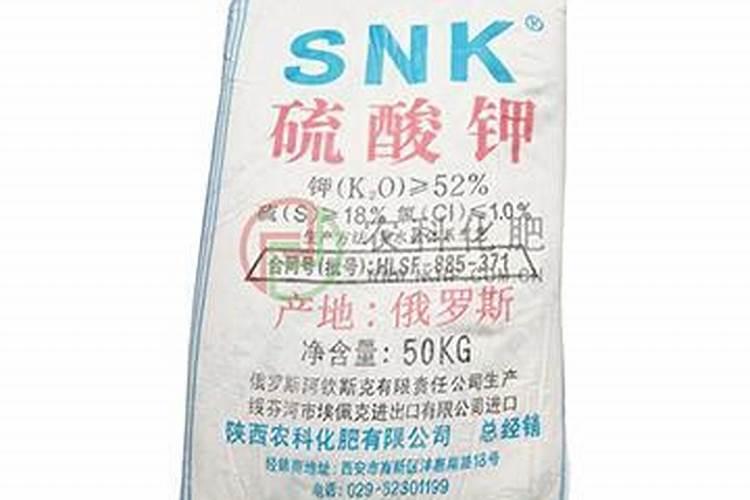 有关花生的资料