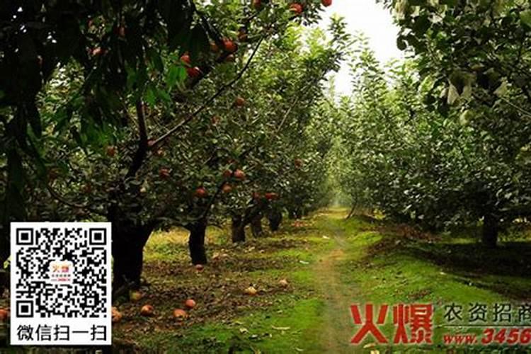 缓控释肥分类