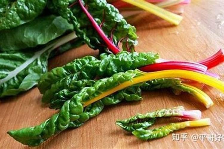 螯合镁肥的正确使用方法