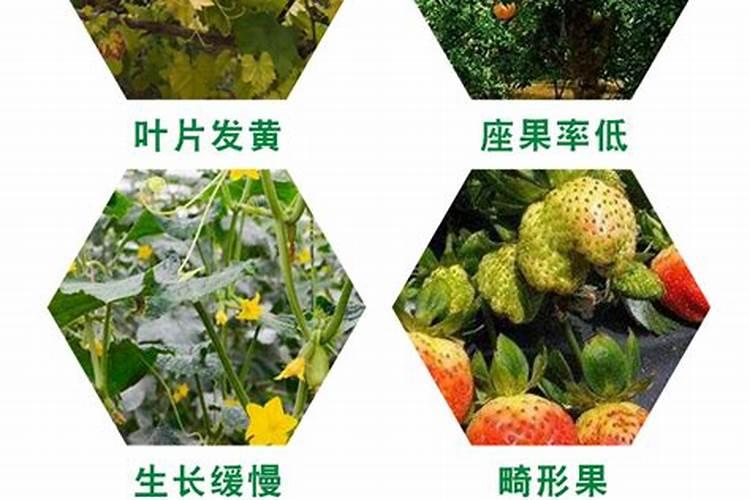 氮肥,磷肥,钾肥分别起什么作用